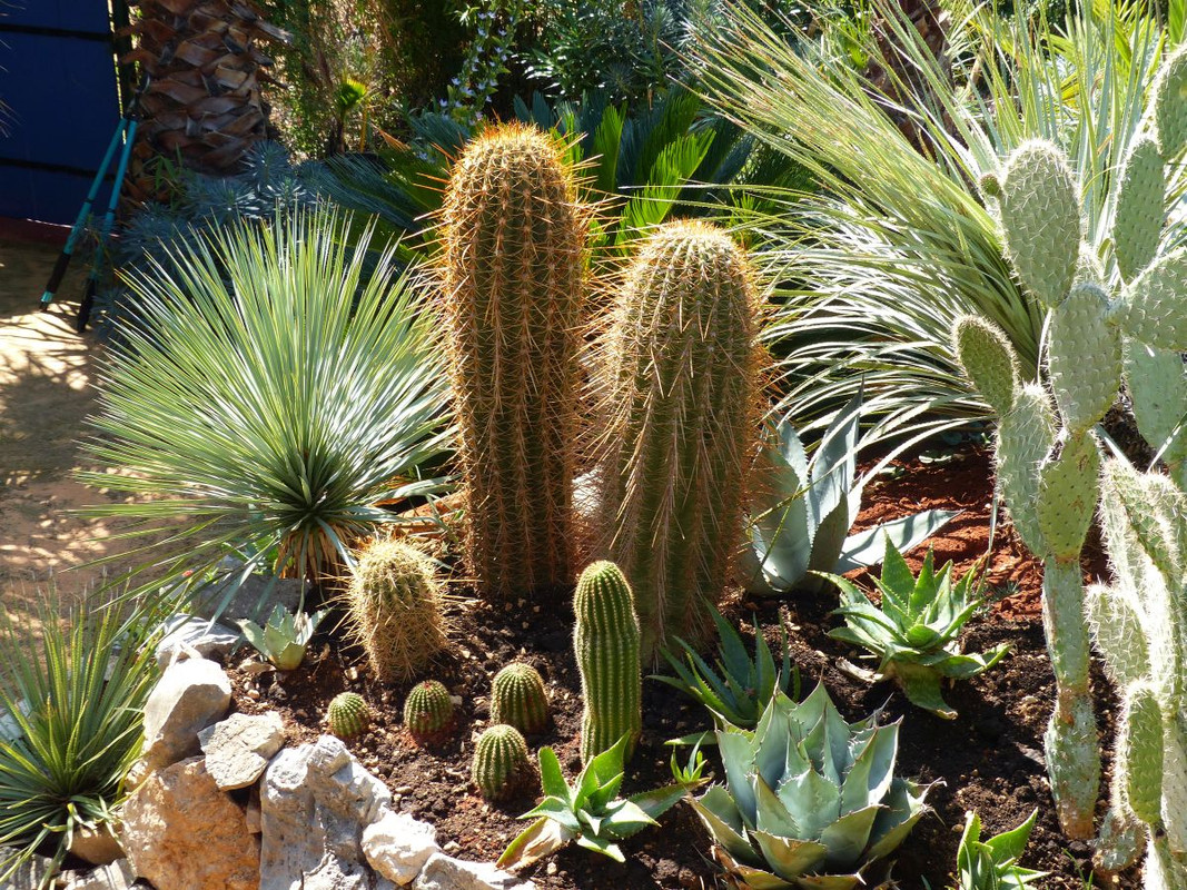 P1240296