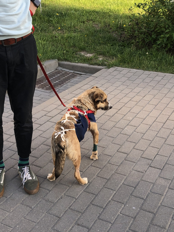 848A417F-7032-4E6E-8848-892D60AF415C