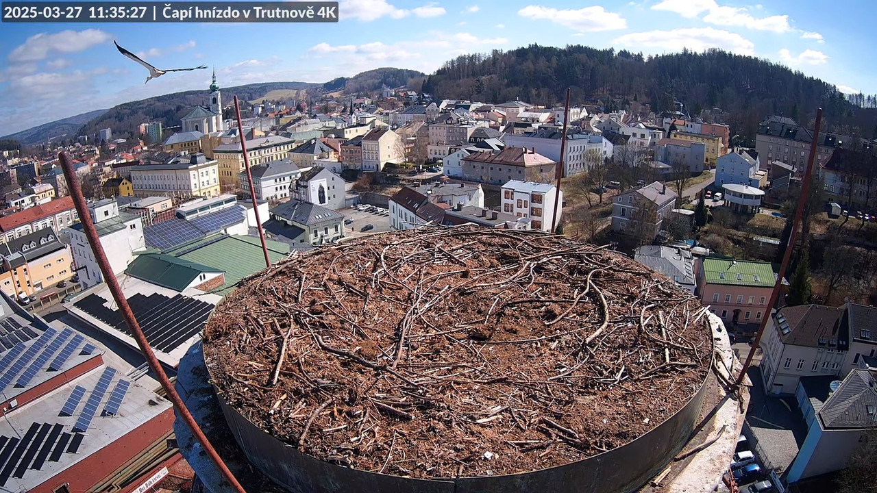 Tiešraidē no stārķa ligzdas uz alus darītavas skursteņa Trutnovā 15-21-50 screenshot