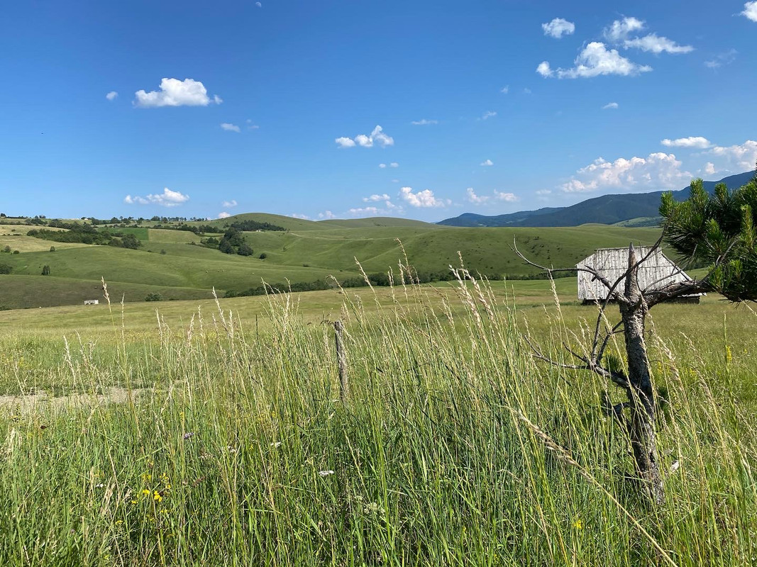 1EF745AD-ADEB-426A-88A2-FEF9541F9362