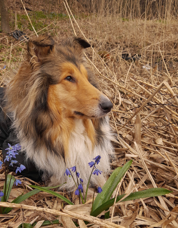 хор.20220424_154542