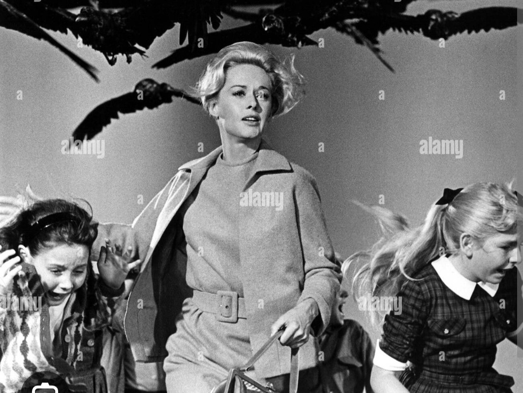 Screenshot_20240215_215626_Chrome