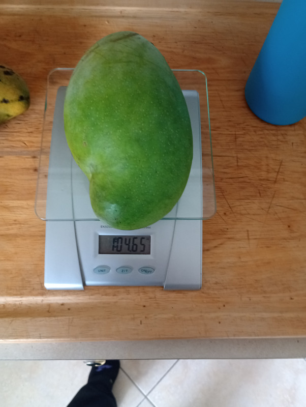 Unripemango