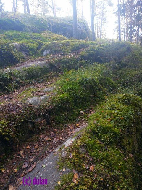 [Image: IMG-20231008-192417.jpg]