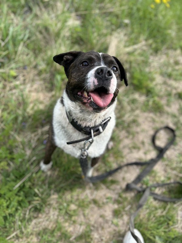 191FA0E2-5305-4A71-B80D-D41D64244C12