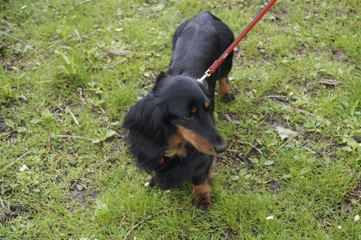 [Image: DSC2770.jpg]