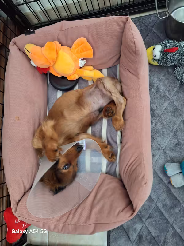 [Image: 20240915-141642-0.avif]