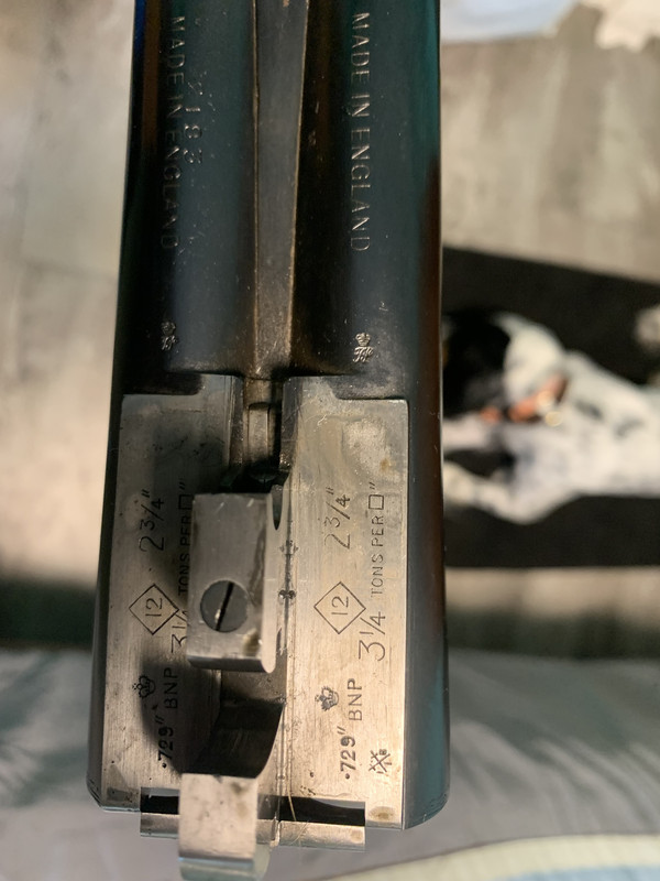 [Linked Image from i.postimg.cc]