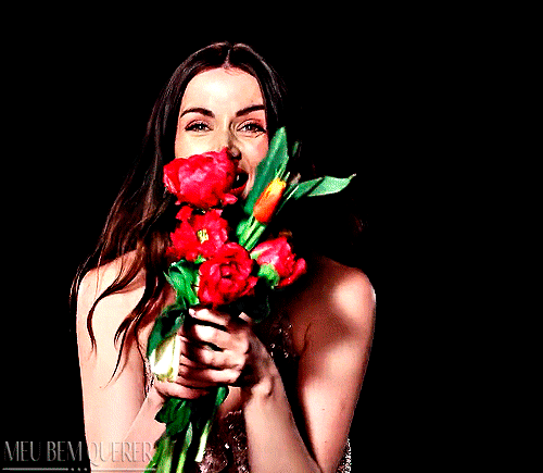 tumblr-b912e6fefa7607fc116538aa738aae76-