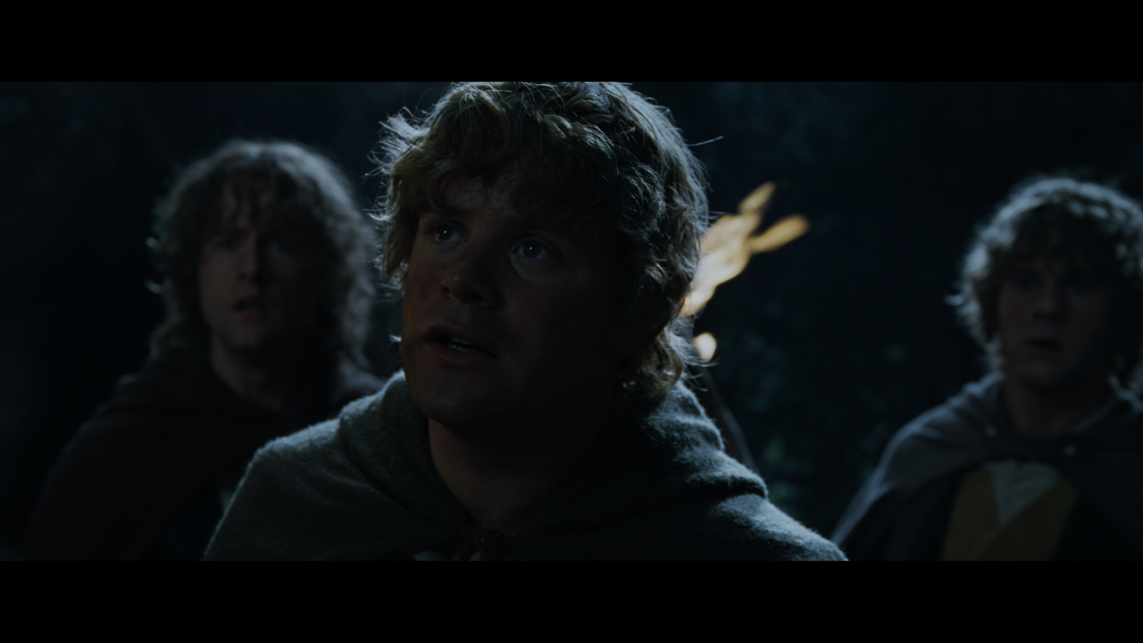 The Lord of the Rings- The Fellowship of the Ring (EXT.) PT. 1.mkv_snapshot_01.20.33_[2020.12.05_22.