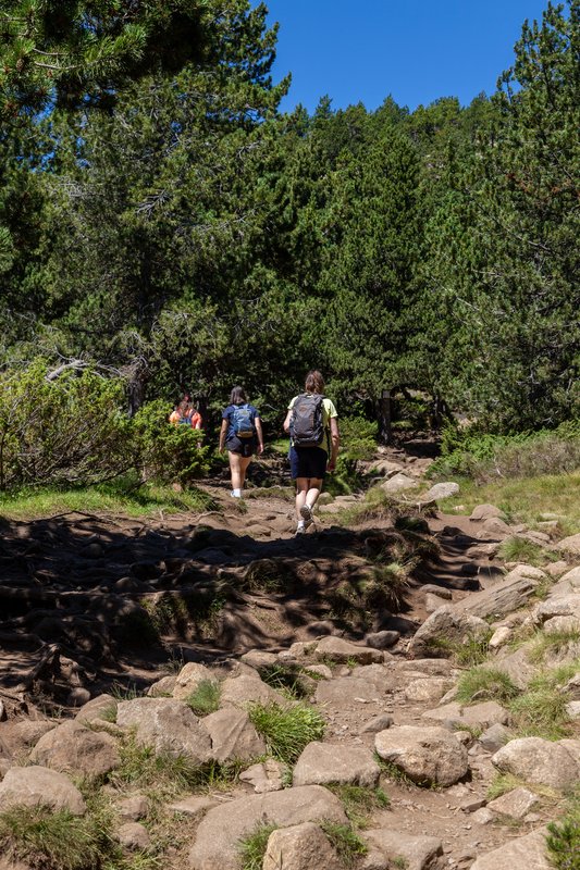 LES BULLOSES (LES BOUILLOUSES) - CERDANYA: ESTANYS MALNIU, LA PERA, BULLOSES (6)
