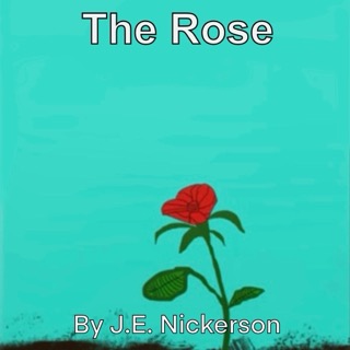 A single rose blooming from the ground, surrounded by natural earth and greenery.