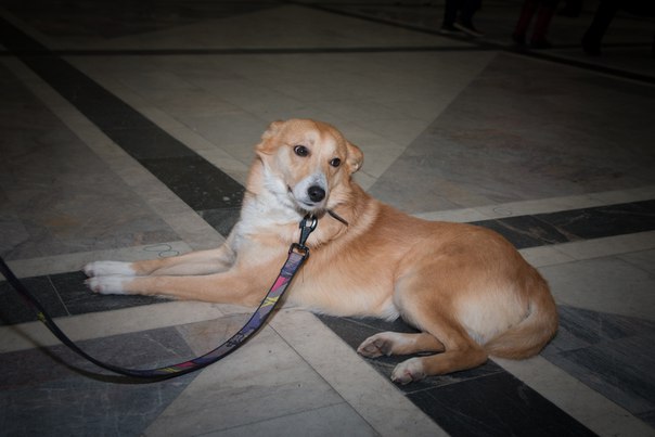 329EC7F2-F109-4307-ADD8-C854861DADE5