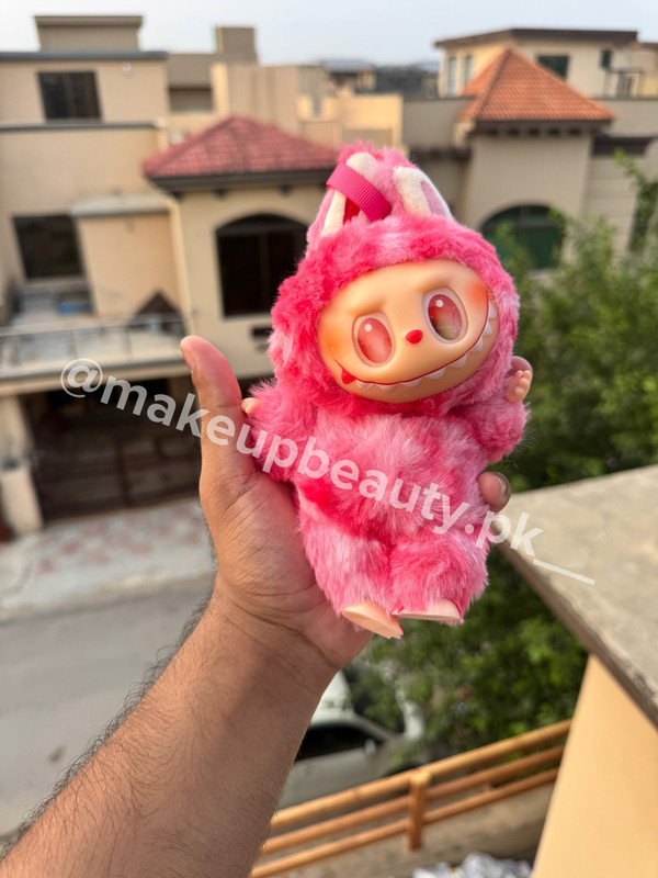 Pop Mart Labubu Blind box surprise package. Premium Quality soft stuff. - image 4