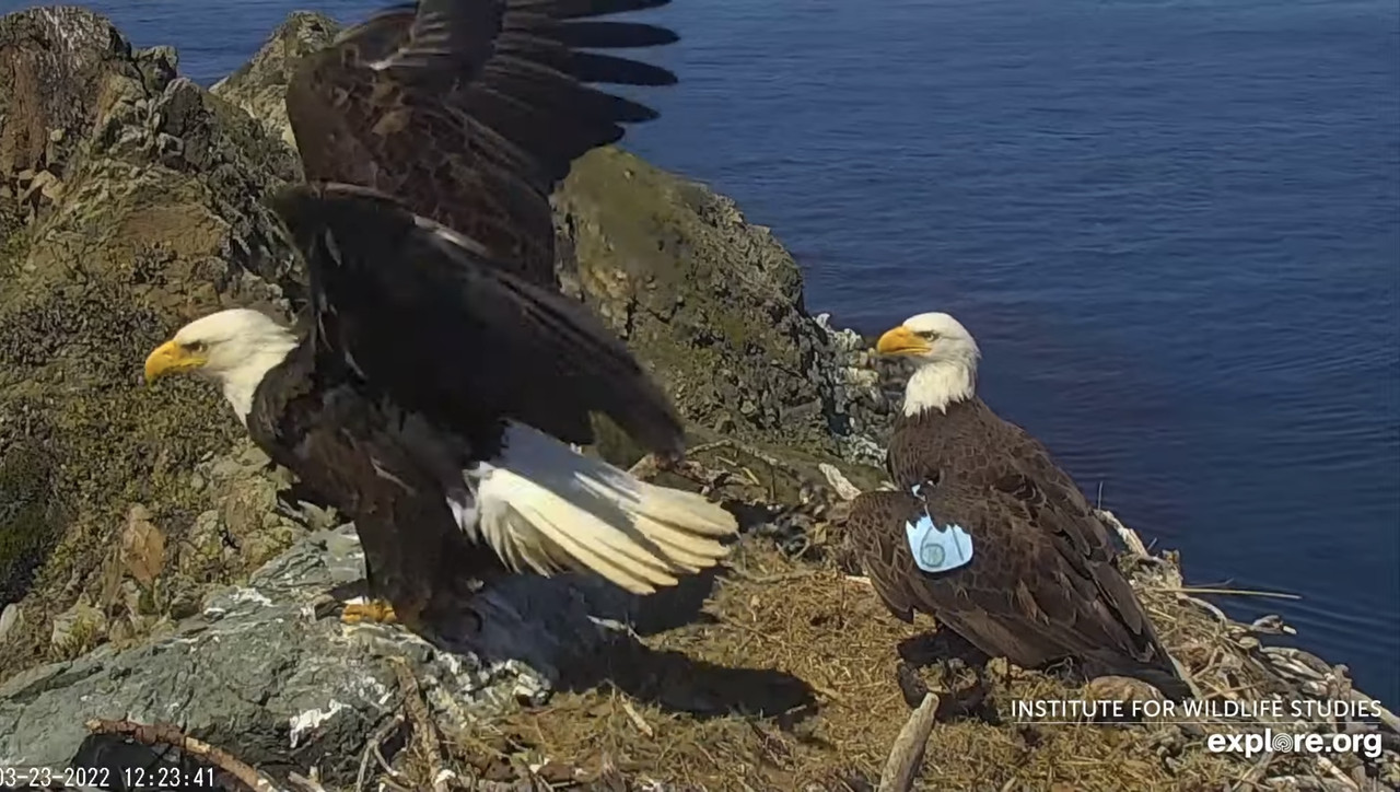 EE298E11-9E9B-4E5D-B126-A1E709E6A746