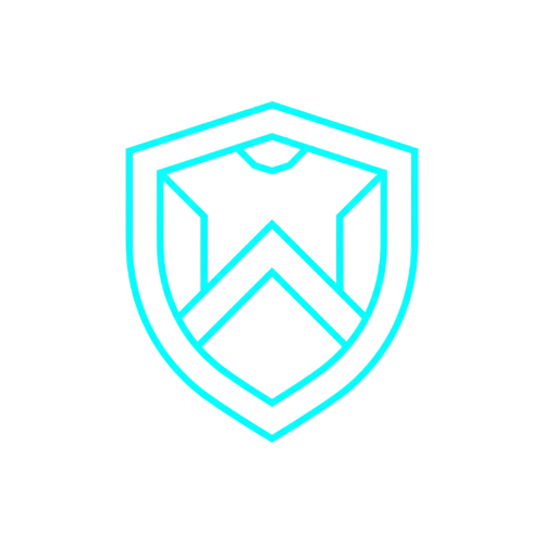 Crush-Proof Shield Icon