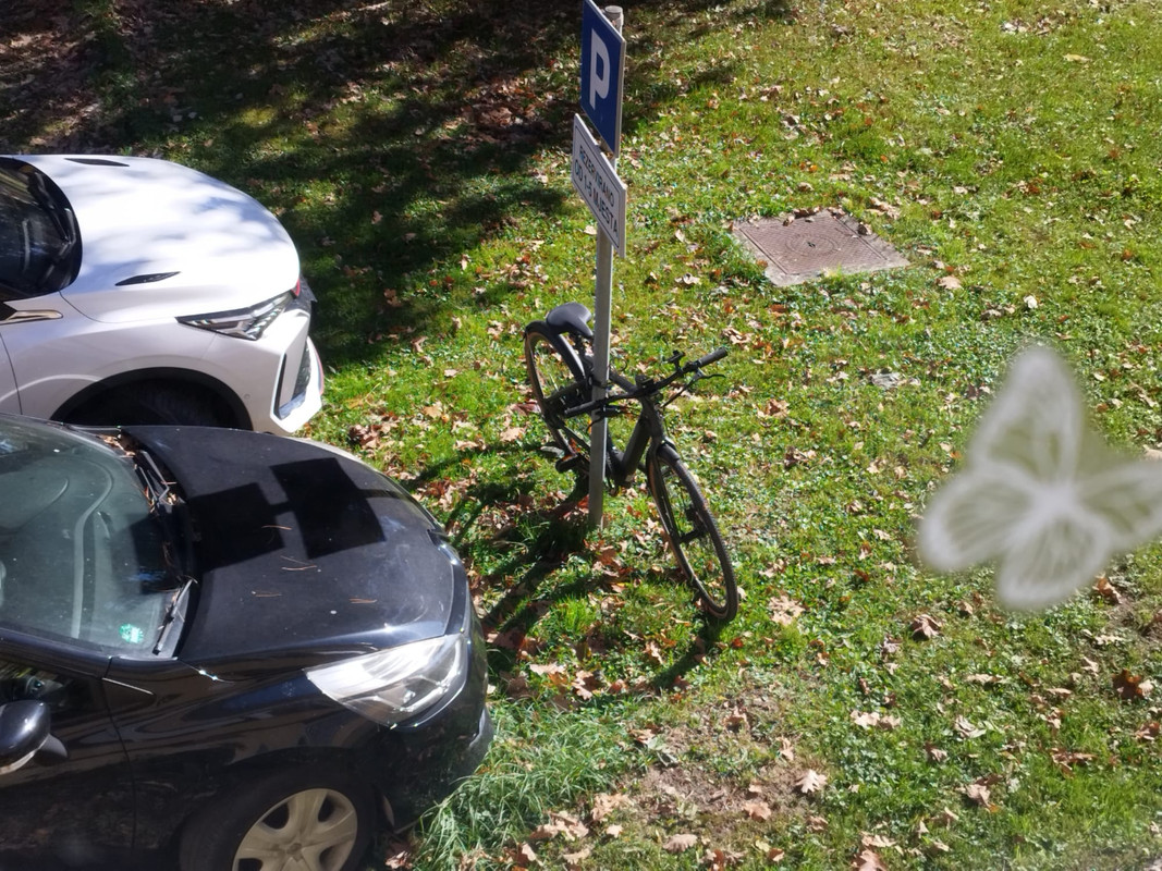 Whats-App-Image-2025-10-28-at-23-28-38