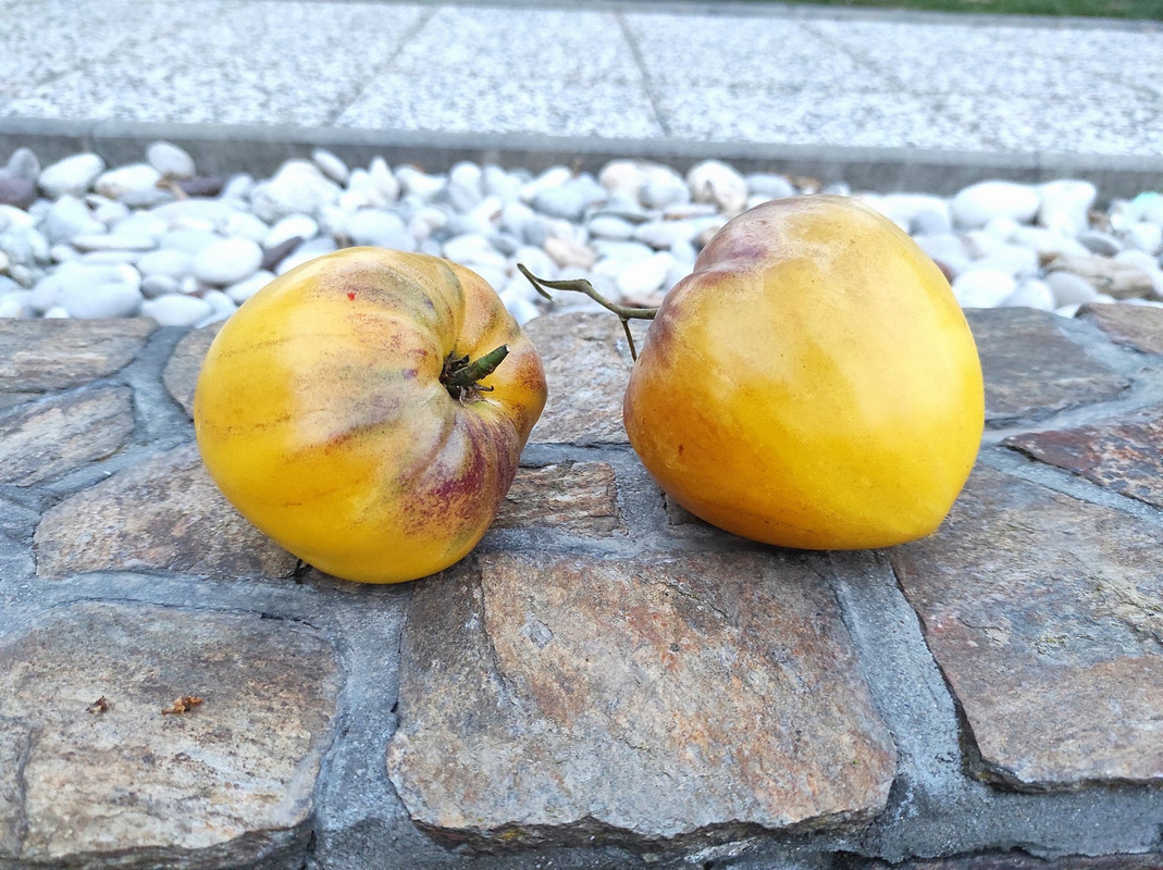 459564653_8264339023611724_6617311042136078882_n