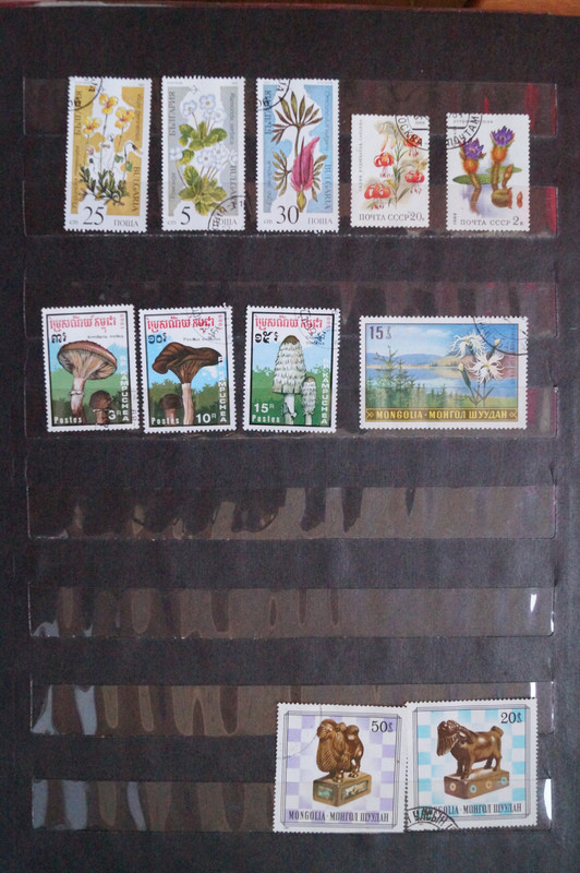 12 — Postimages
