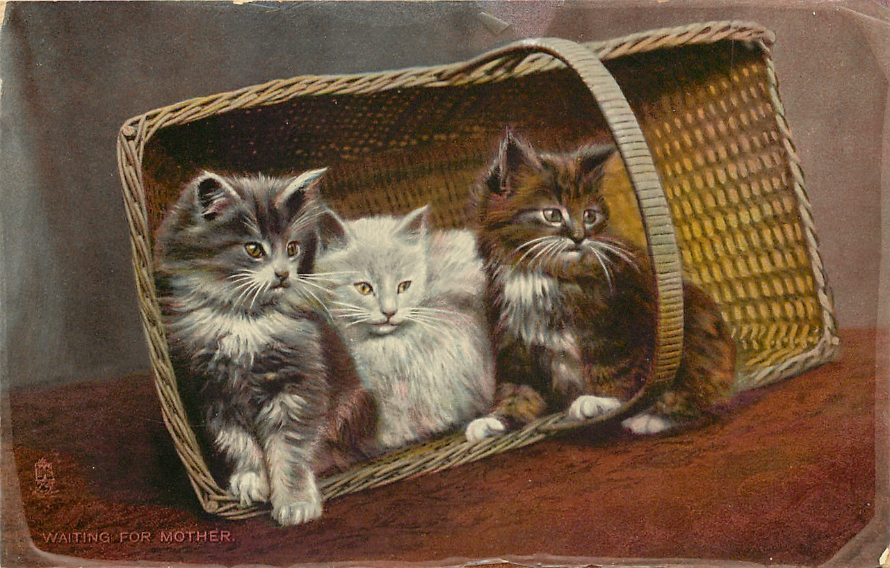 10-2011-05-31-17-32-25