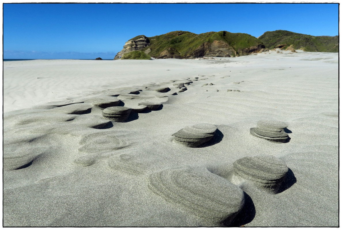 Escapadas y rutas por la Nueva Zelanda menos conocida - Blogs de Nueva Zelanda - Golden Bay (Navidad 2020, II) (29)