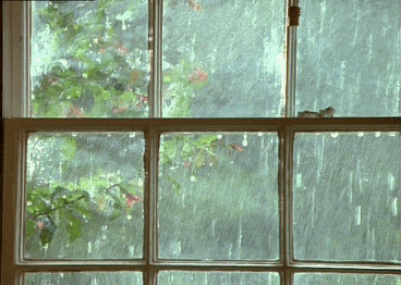 resized_animated_rain_and_window
