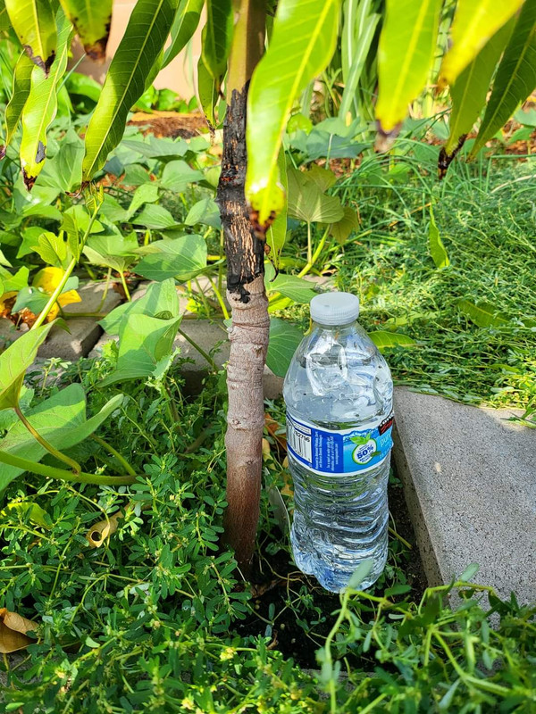 FB_IMG_1691903346013