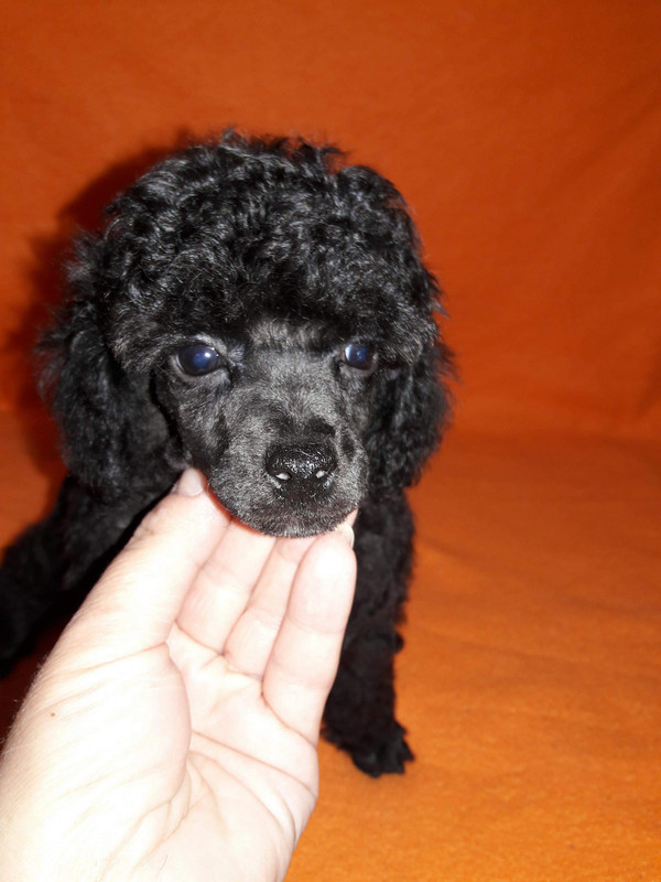 received_2102617460012762