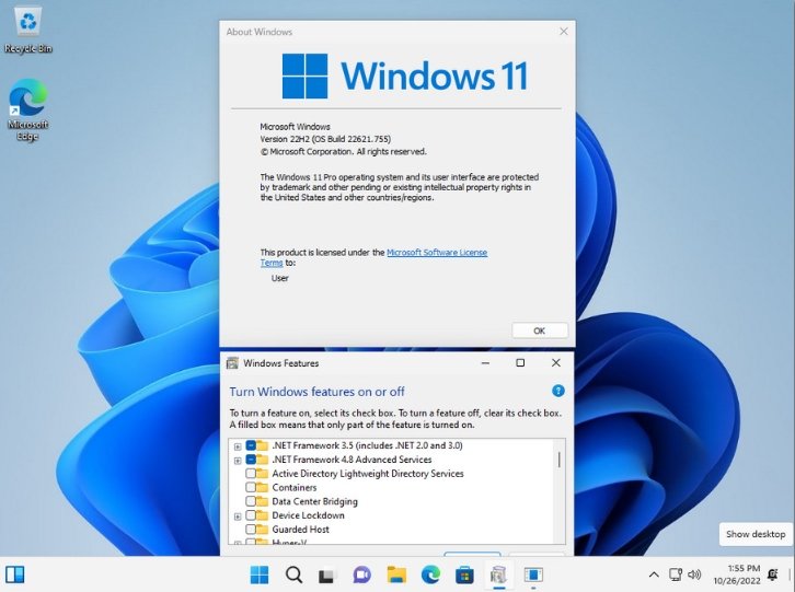 Windows-11-Pro-preview.jpg