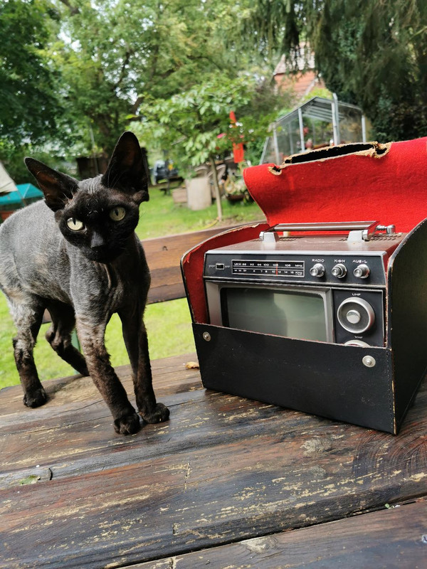 2B1DB5C2-4D05-4781-9966-7435F64923BC