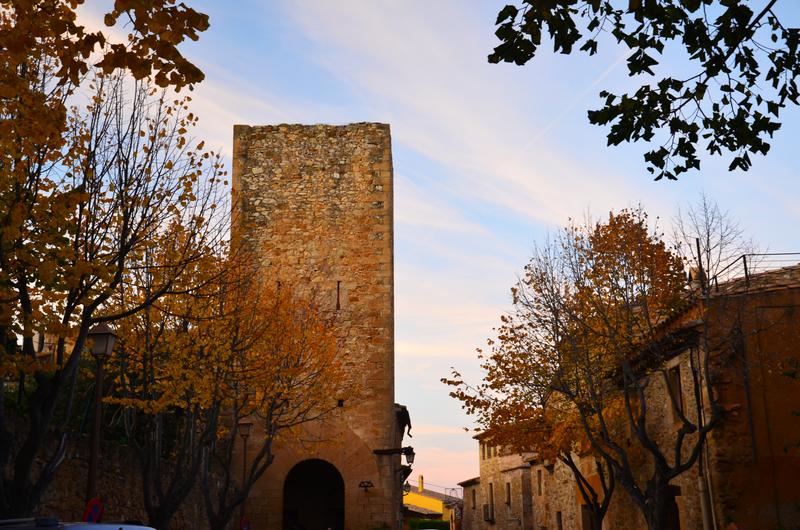 VULPELLAC-21-11-2017 - Gerona y sus pueblos-2016/2017 (6)