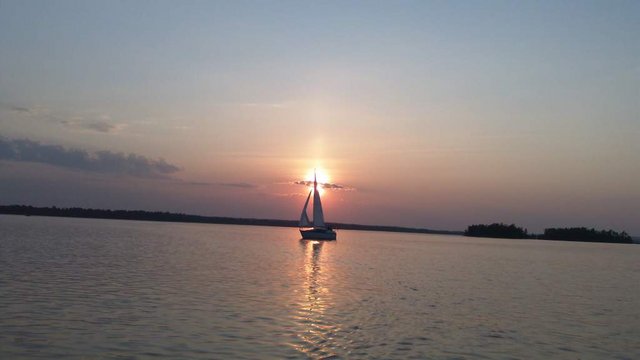 SoggyPaws_LakeMichigan