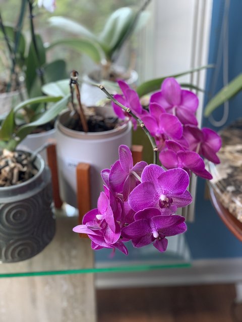 [Image: IMG-6428.jpg]