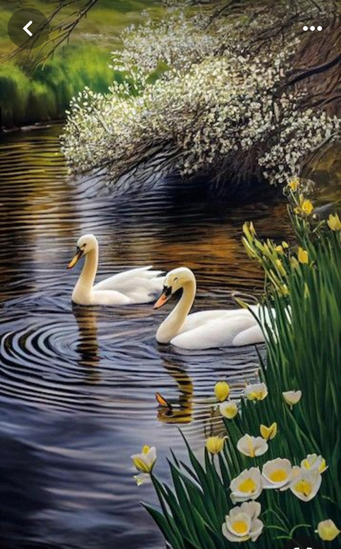 Screenshot_20240328_201027_Pinterest