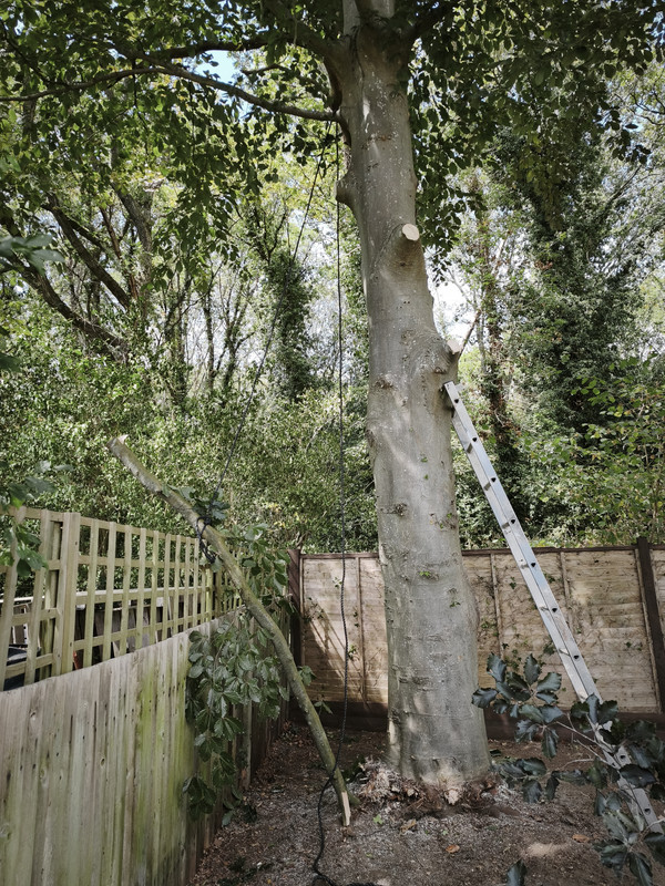 IMG 20260809 134140