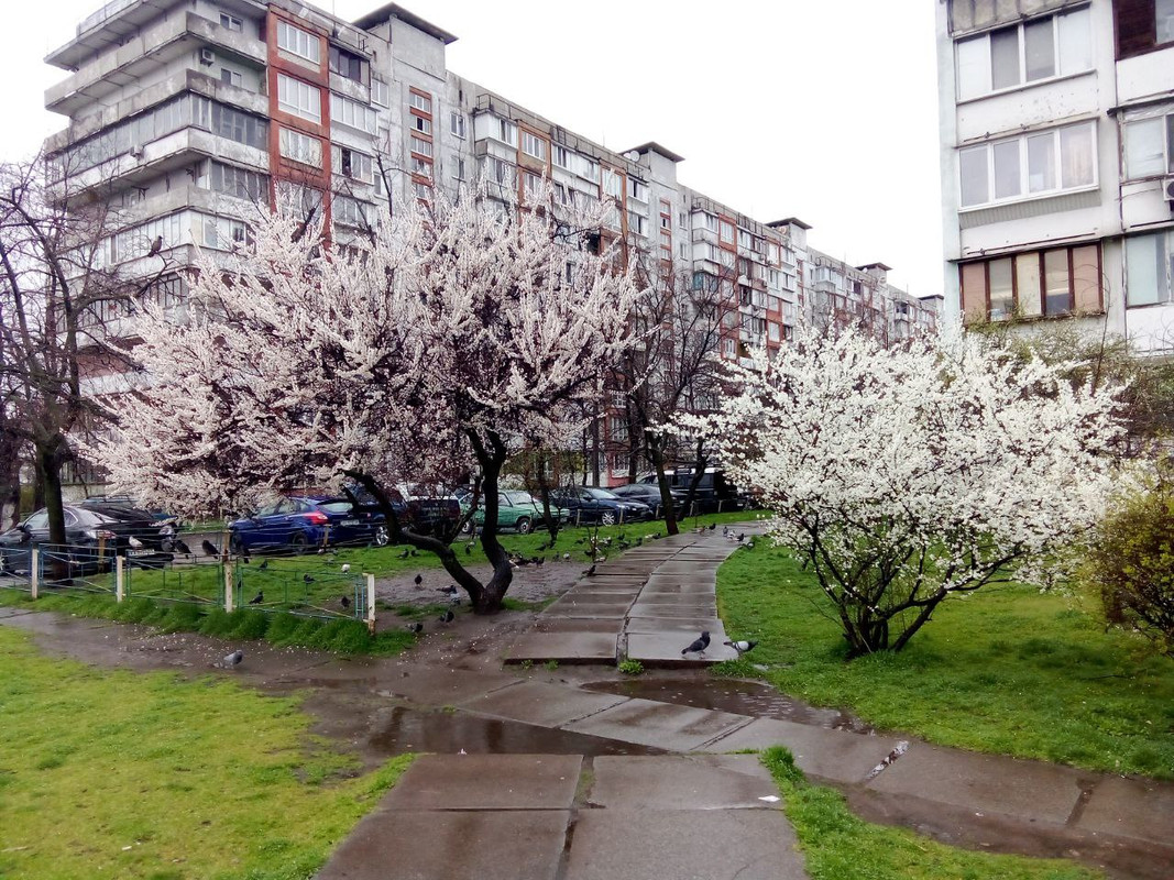 photo_2025-04-01 8.17.51 пп