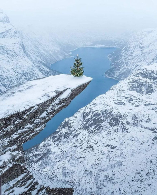 35614818439105404720