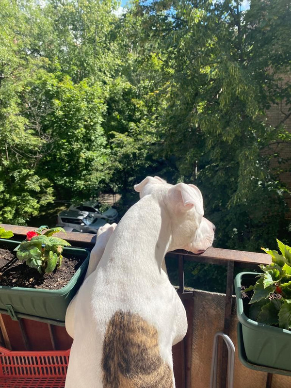 EE81E990-5A1C-4C41-9CEA-DEC1CE0EAFD5