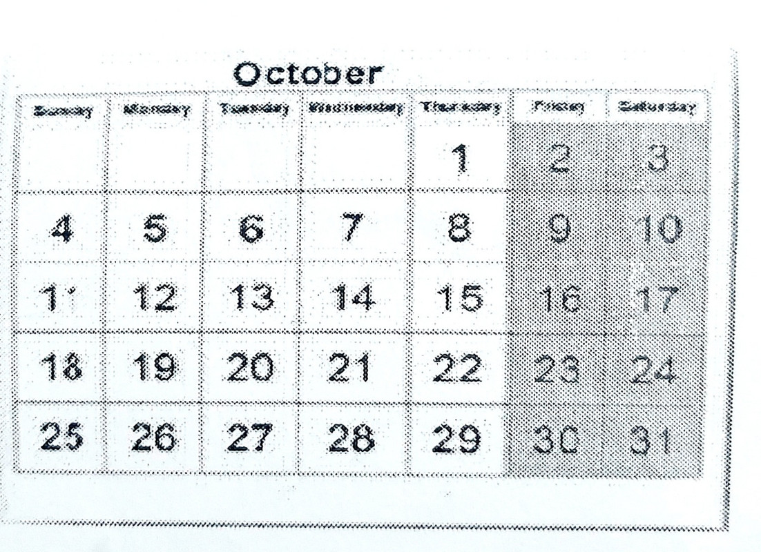 20221127-000543.jpg