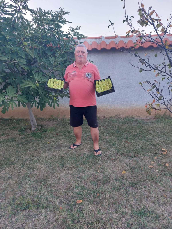 0-02-05-8bf76de3199664f71991d4356dc326bcdfeba5aa7cdbc1ff01bd0b35c600c27b_42c2aaac762ff25f