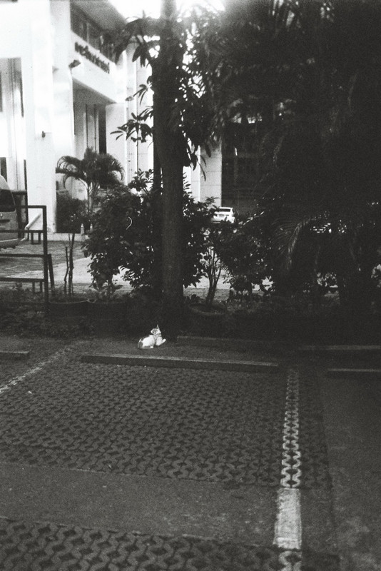 Retro400SHF_160_resize