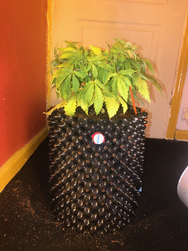 A08604C9-7471-43F6-BE78-DAA64D3F76A6