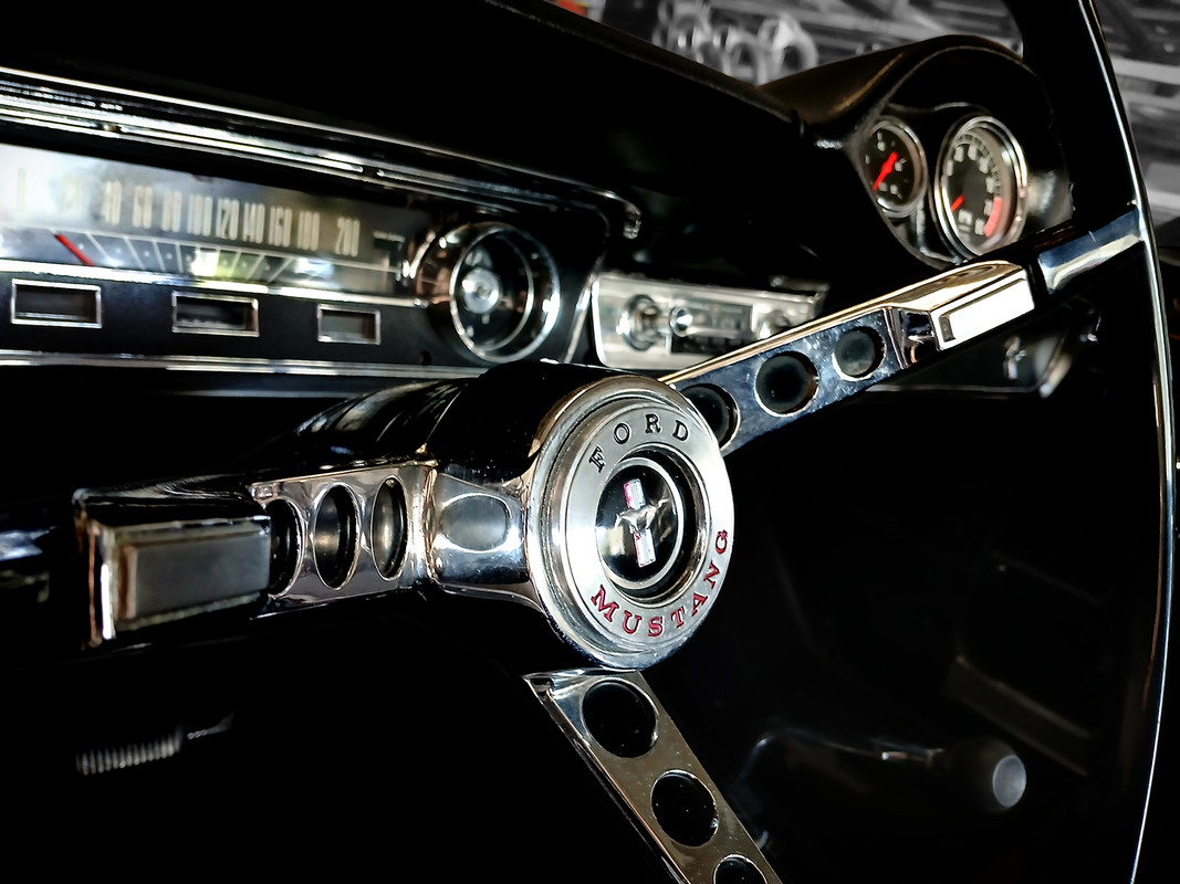 MUSTANG_EA2504-31