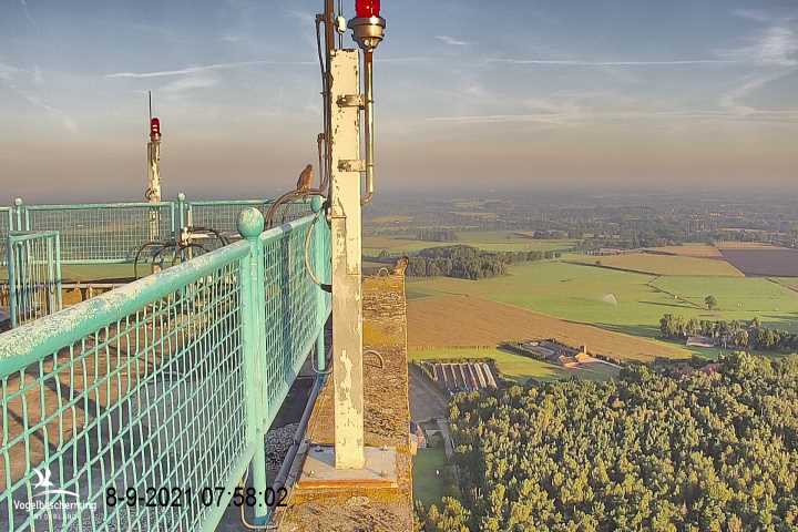 campics vanaf 1 juli © VWGGemert en bonusjes van ter plekke - Pagina 25 V8