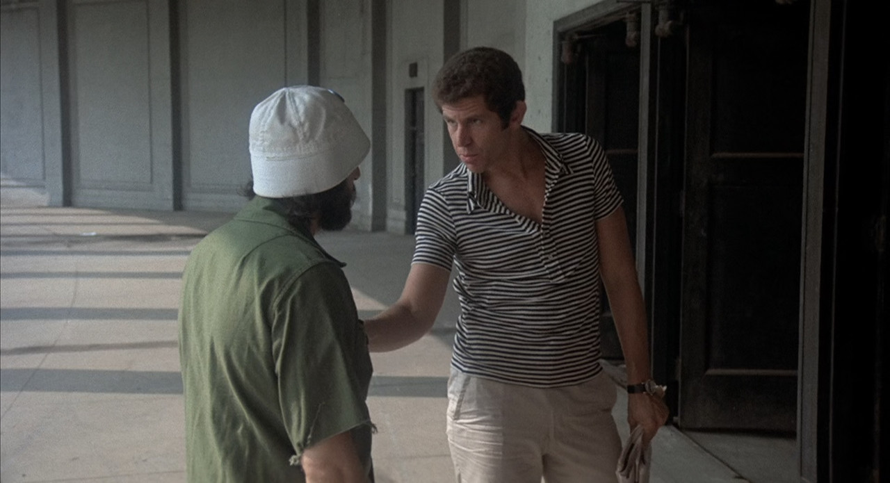 Serpico 1973 (1080p x265 10bit Tigole).mkv_snapshot_00.45.31_[20