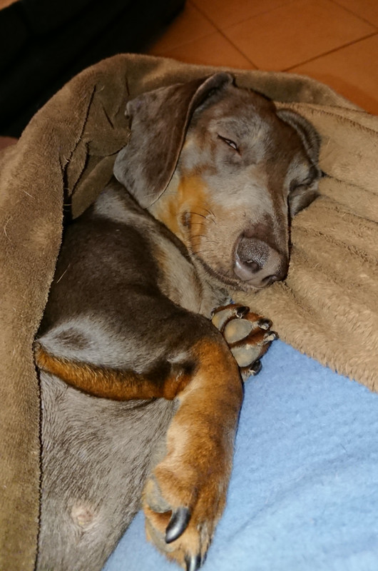 [Image: 20250131-223751.jpg]