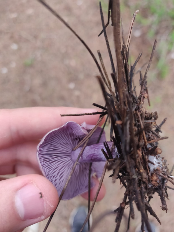 WhatsApp Image 2022-12-15 at 13.50.53 (1)