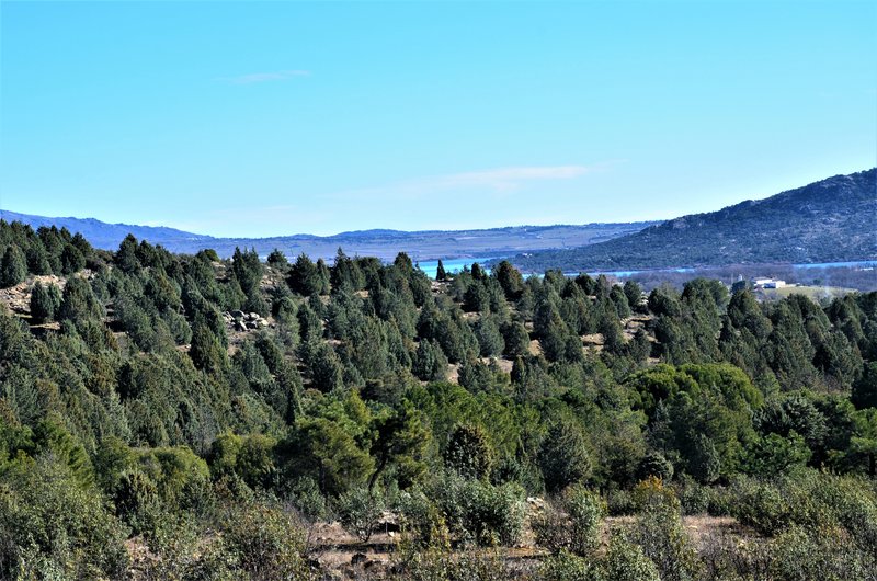 LA PEDRIZA-2010/2015-MADRID - Paseando por España-1991/2016 (11)