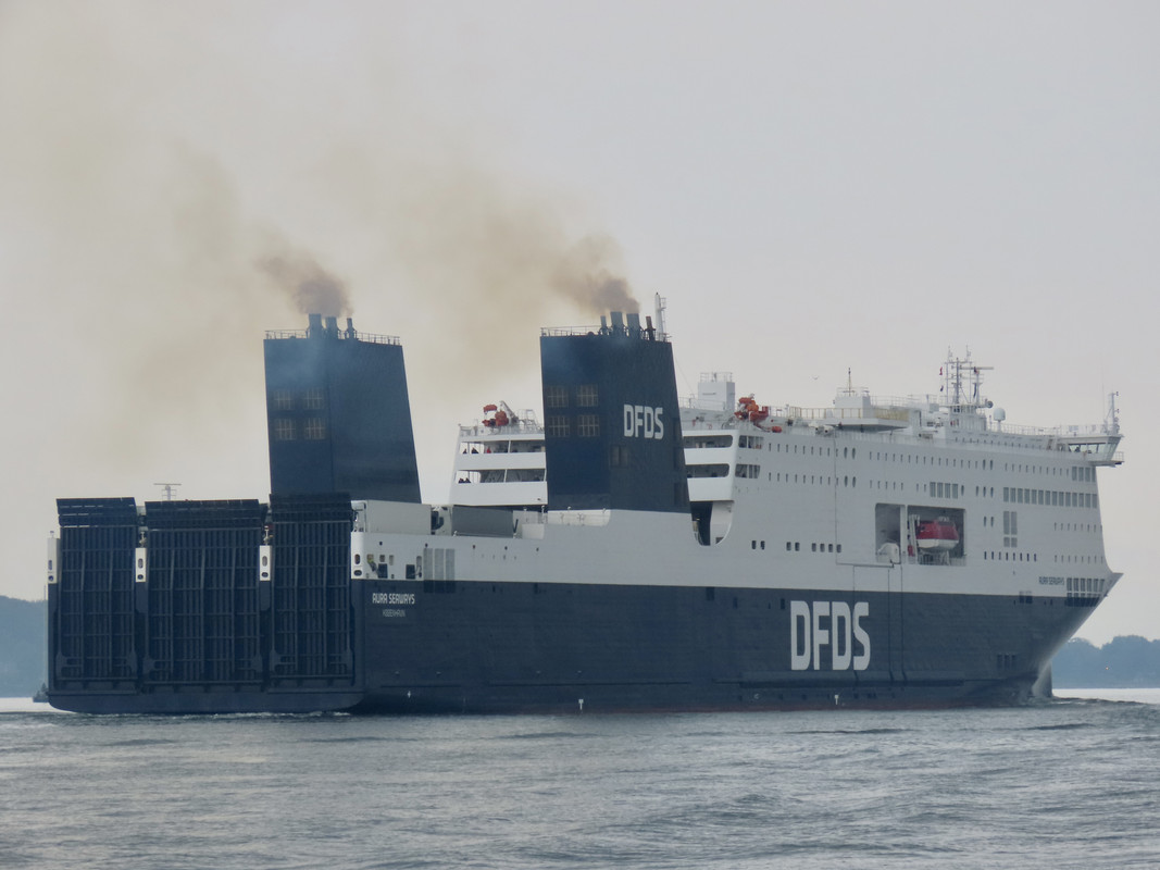 37A197F7-CB6C-4AD5-8A55-13D236F19996