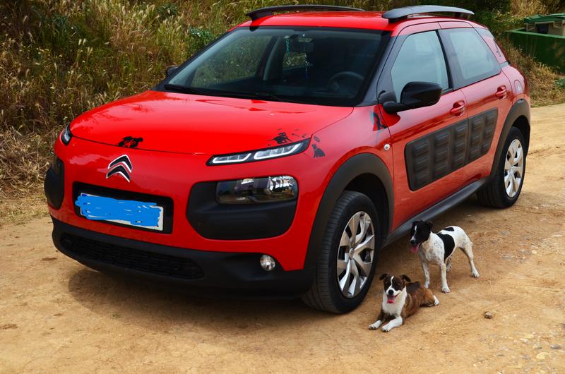 Barrancas de Burujón-2015/2025 - Toledo y sus pueblos-1996/2026 (35)